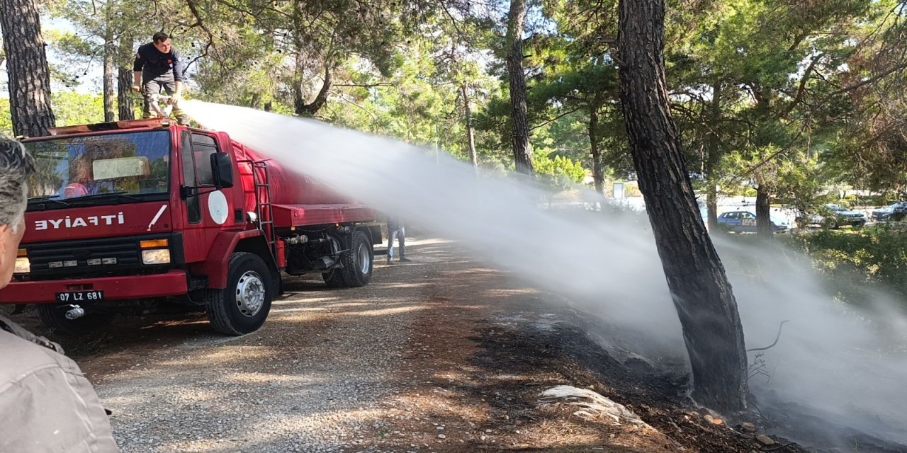 Manavgat’ta Orman Yangını: Vatandaşlar Yangın Tüpüyle Büyümesini Engelledi!