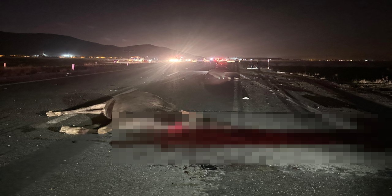 Muş-Bitlis Karayolunda Korkunç Kaza: İneklere Çarpan Araca Arkadan Vurdular!