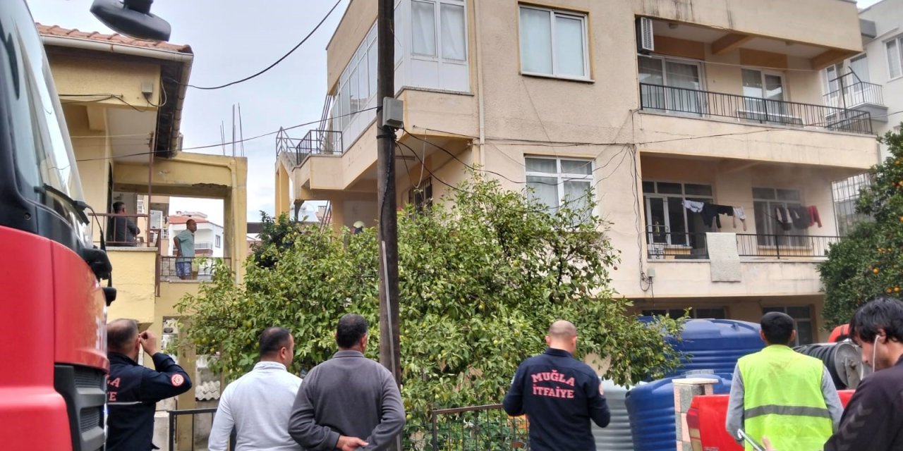 2 Kedi Ocakta unutulan yemeğin kurbanı oldu