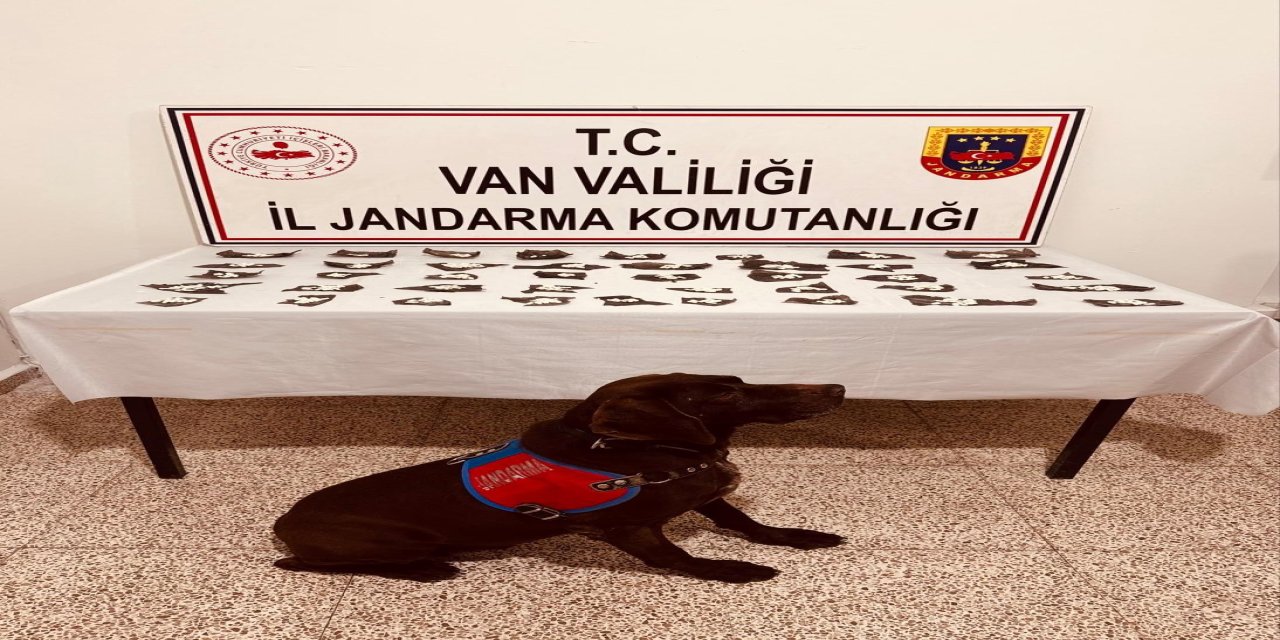 Van'da Kapsüllere Gizlenmiş 171 Gram Bonzai Ele Geçirildi!