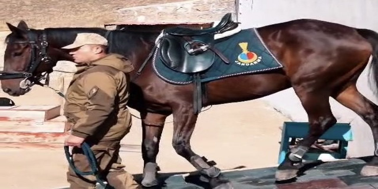 Van Jandarma Atlı Timleri Zernek Barajı'nda Devriyede!