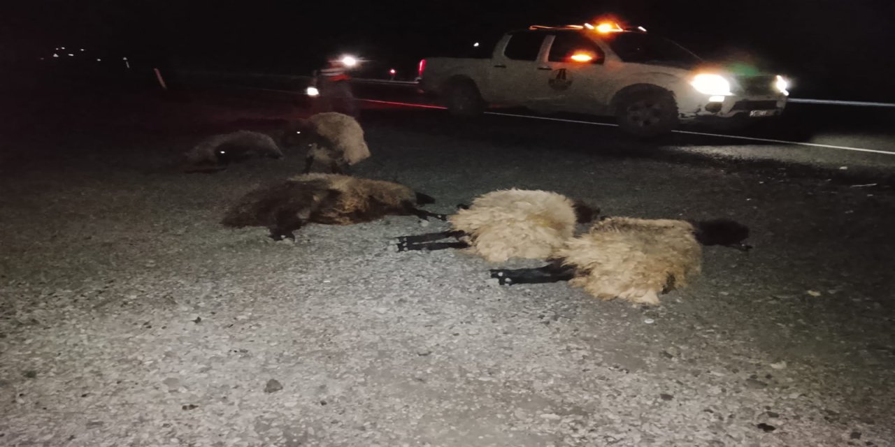 Cizre Tünel Çıkışında Kaza: 8 Koyun Telef Oldu