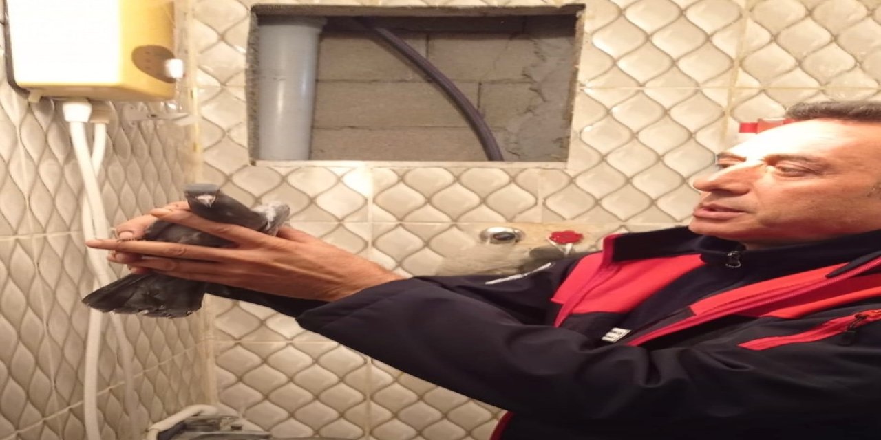 Mahsur Kalan Güvercin İtfaiyenin Titiz Çalışmasıyla Kurtarıldı
