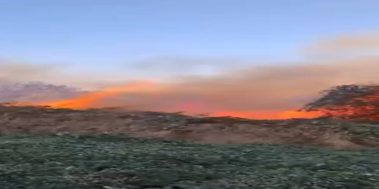 Artvin Hopa'da ziraat alanında çıkan yangın ormana sıçradı