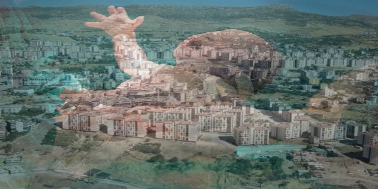 Şırnak Doğum Oranında Kaçıncı Sırada?