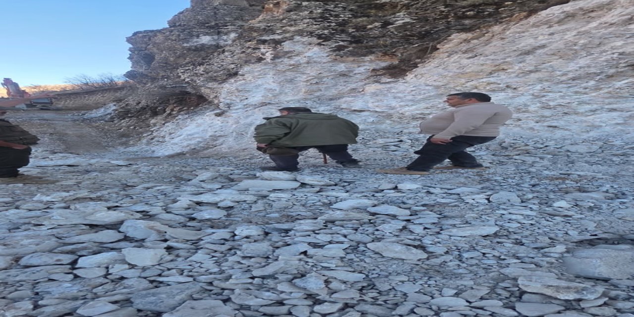 Bestler dereler bölgesine 30 yıl sonra ilk kez yollar açılıyor