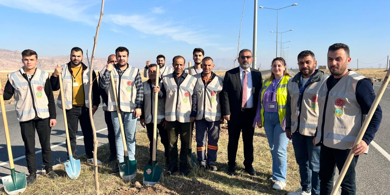 Cizre’de Havalimanı Yolu 450 Fidan ile Yeşilleniyor