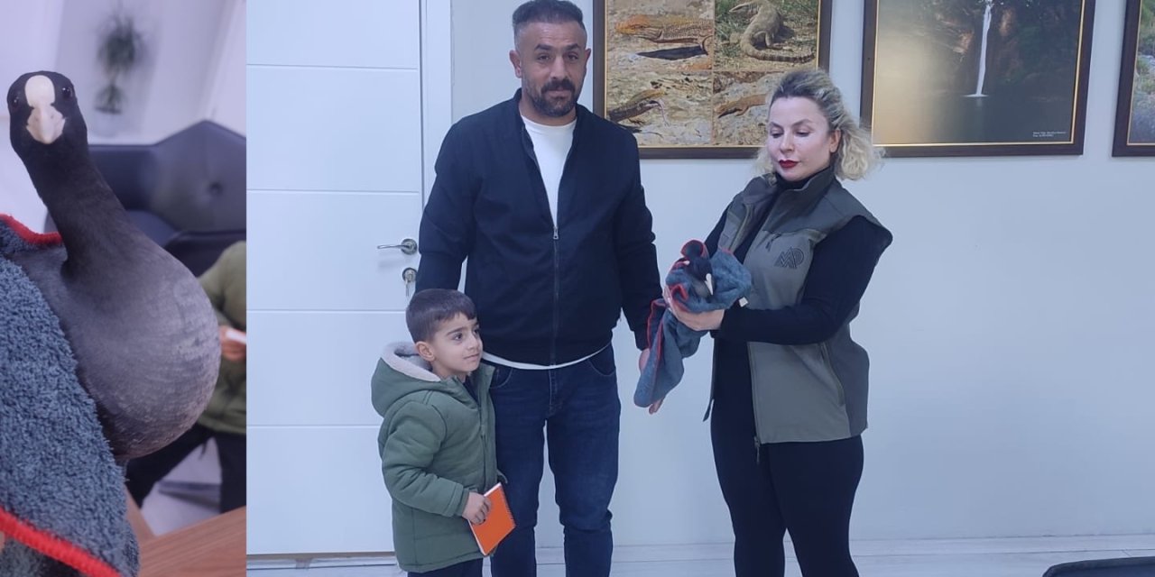 Sakarmeke Kuşu İçin Harekete Geçildi: Tedavi Süreci Başladı