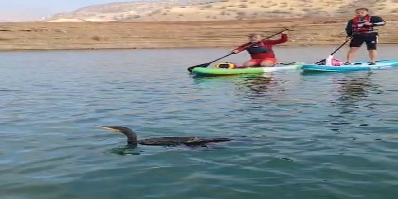 Botan Milli Parkı’nda Duyarlılık Örneği: Karabatak İçin Seferber Oldular