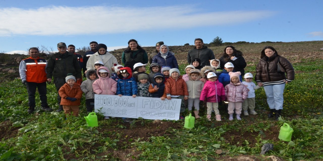 Manisa'da Yanan Alanlara 100 Bin Fidan Dikildi