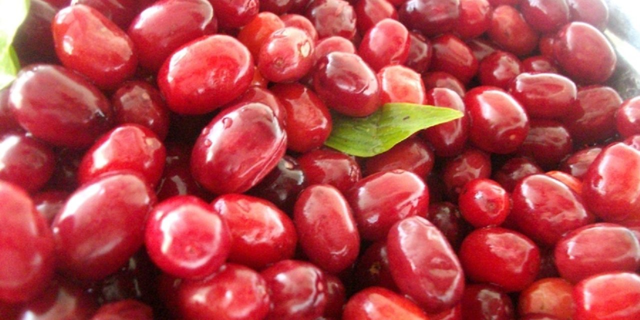 Soğuk algınlığına doğal çözüm: Kızılcık