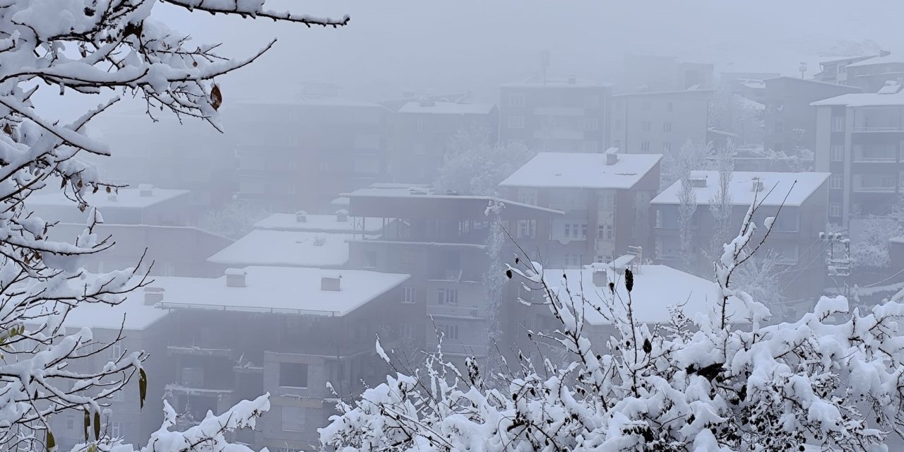 Hakkari'de kar durdu, sis başladı