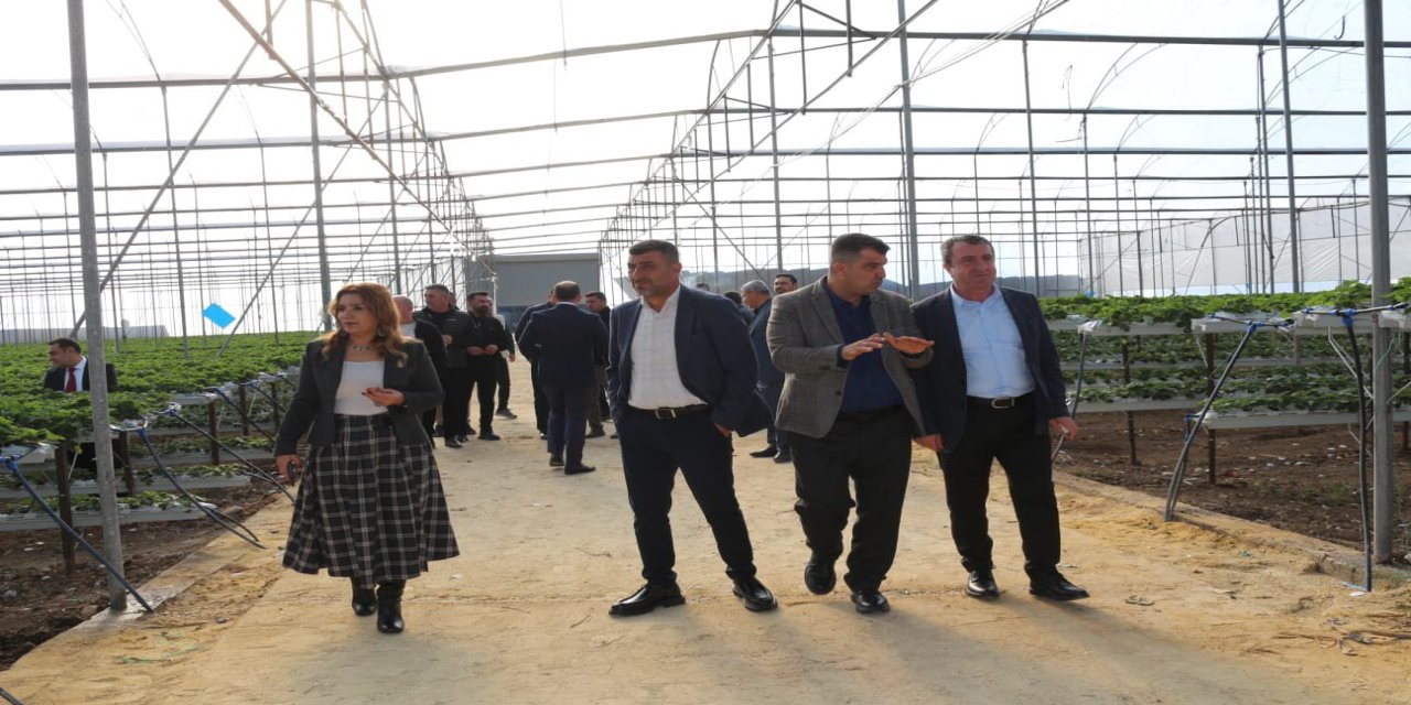 Şırnak’ın Tarım Umudu Mersin’de Gündem Oldu