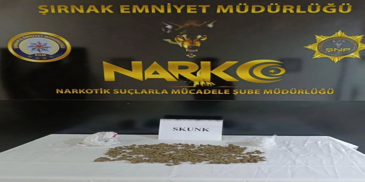 Şırnak’ta Gece Operasyonu: 213 Gram Skunk Ele Geçirildi