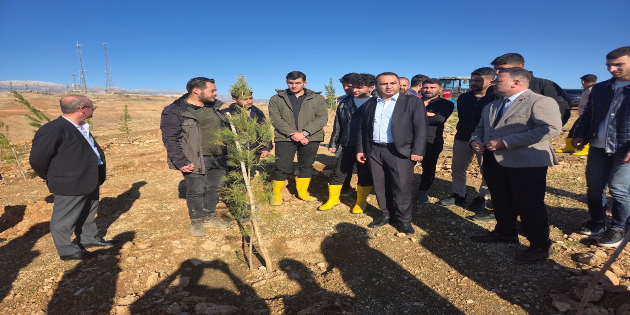 Silopi'de Nasır Ağa Tepesi Geleceğe Nefes Oluyor: Kaymakam Partal Çalışmaları İnceledi