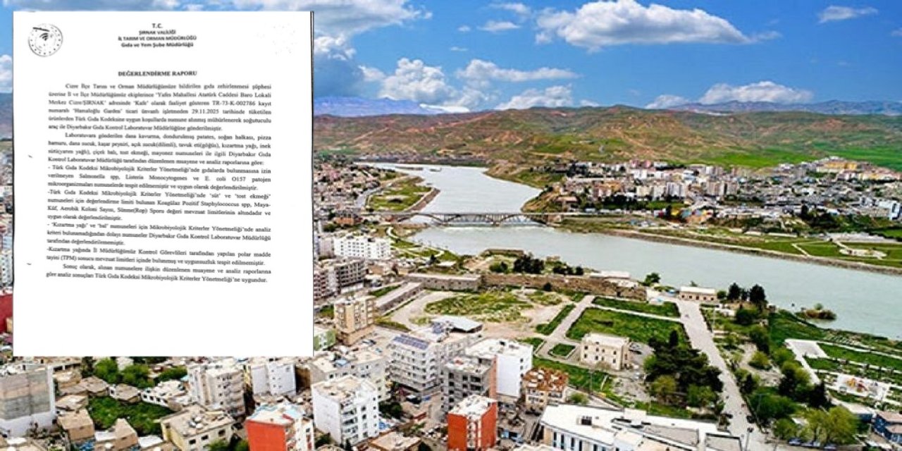 Cizre’deki Zehirlenme Şüphesinde Laboratuvar Sonuçları Belli Oldu