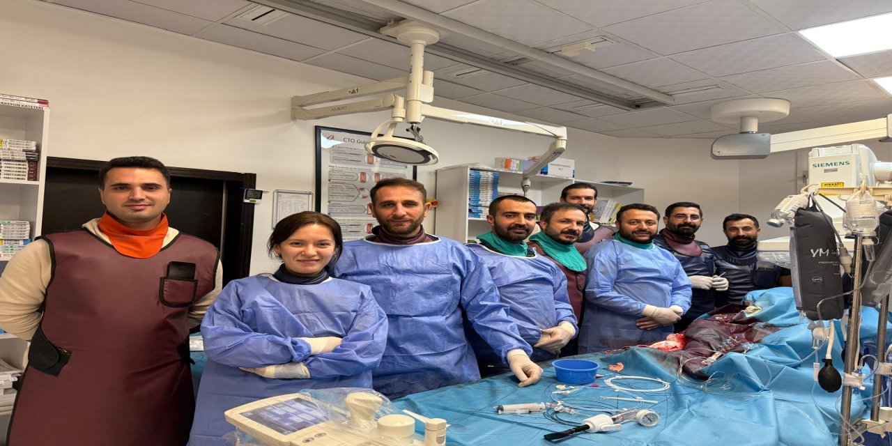 İleri Düzey Kardiyoloji Eğitimi Şırnak’ta Gerçekleşti