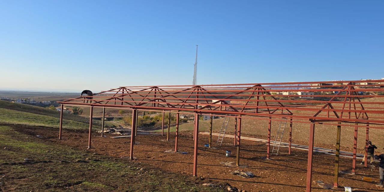 Şırnak’ta Sürdürülebilir Tarım Hamlesi: Çardaklı Meraları Islah Ediliyor