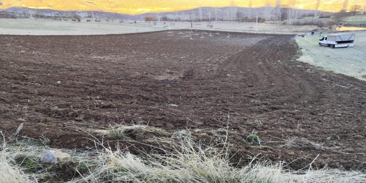 Arpa kar yağmadan toprakla buluşuyor