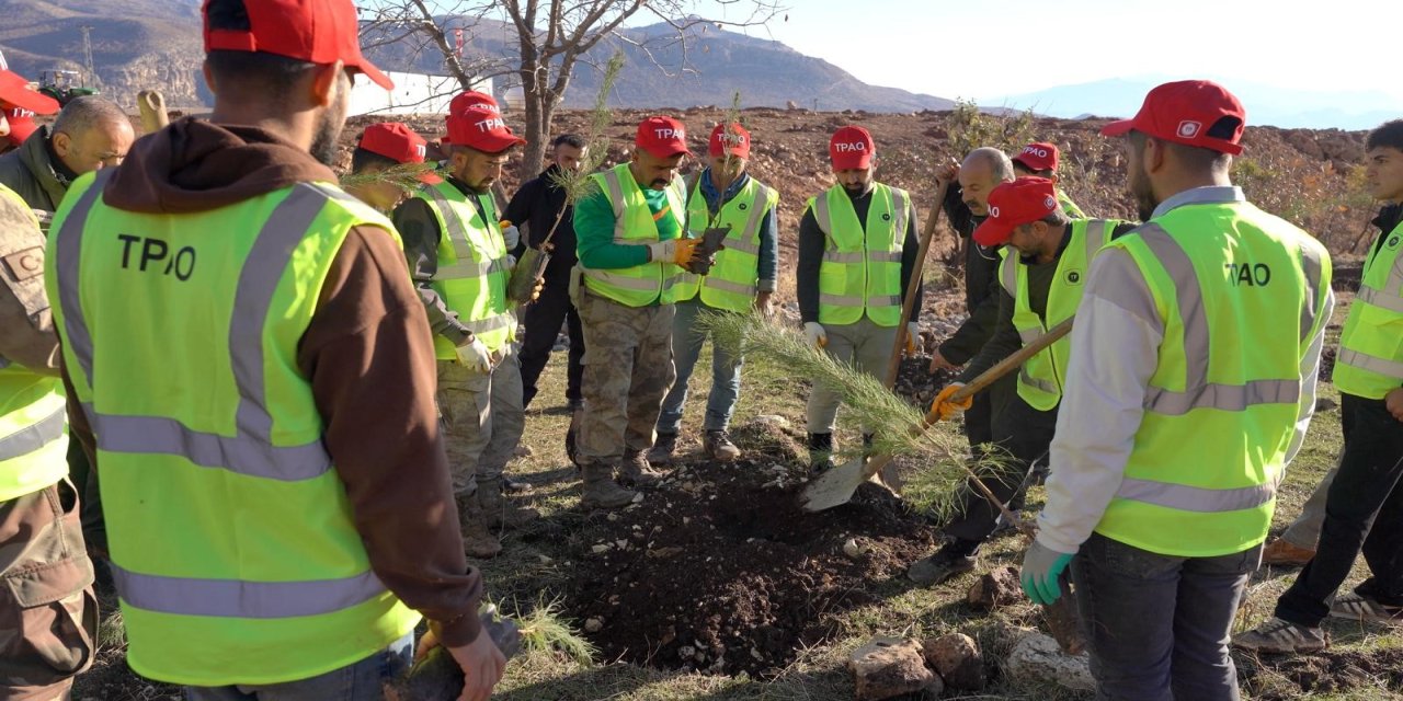 Gabar’da Enerji ve Doğa Ele Ele: 100 Bin Fidan Toprakla Buluşuyor!