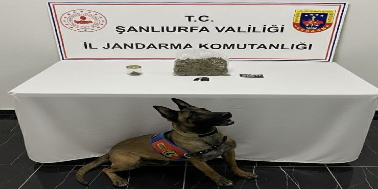 Şanlıurfa’da uyuşturucu operasyonu: 1 gözaltı