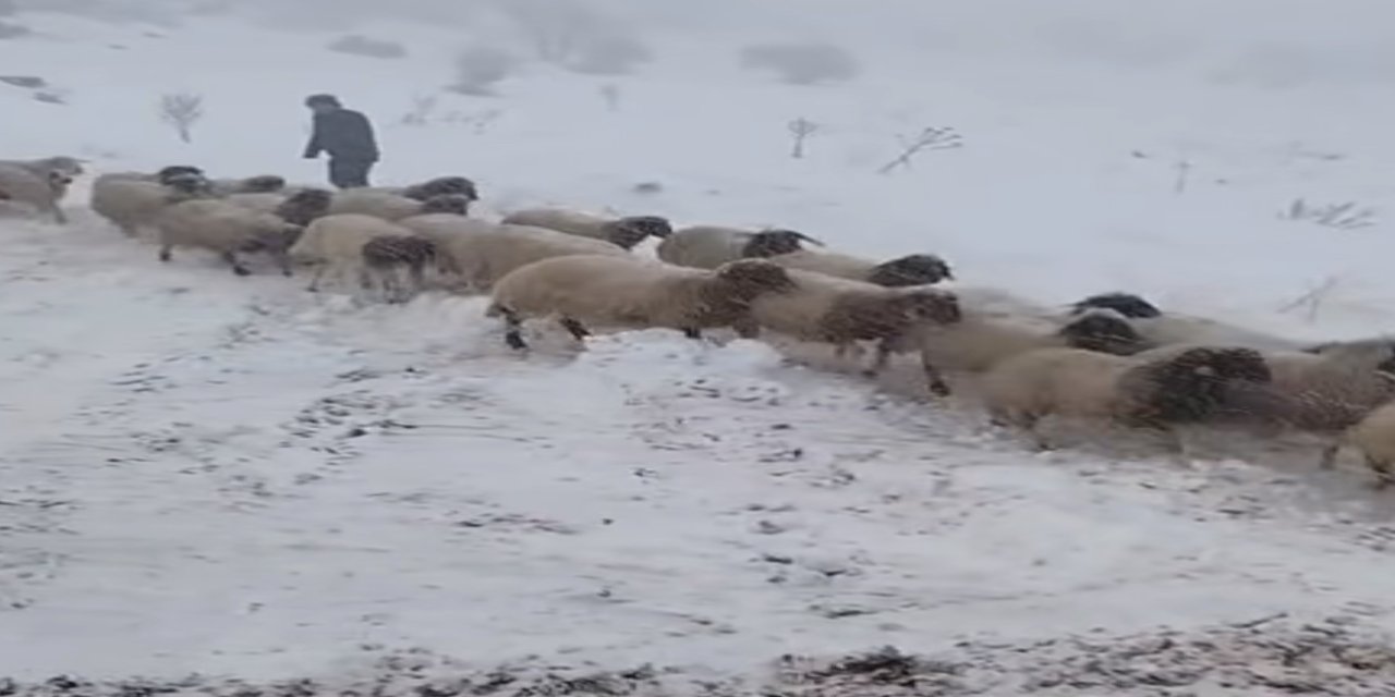Adıyaman’da Dev Kurtarma Operasyonu: 2 Çoban ve 800 Koyun İçin Seferberlik!