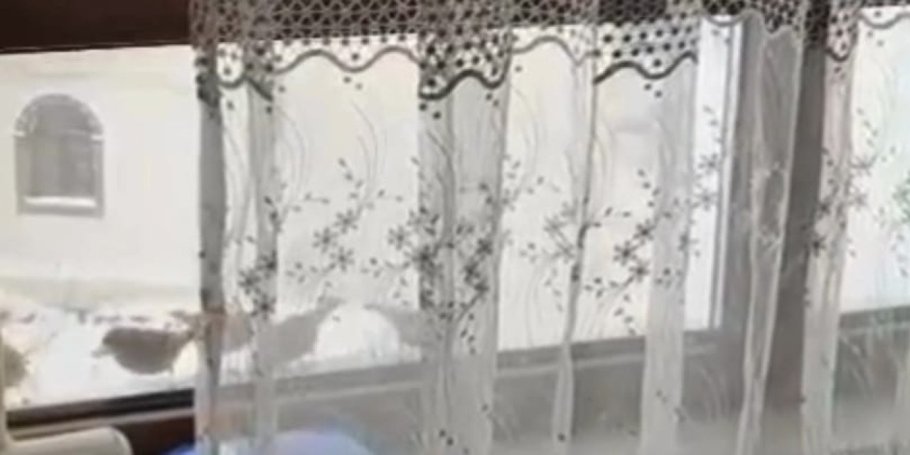 Şırnak’ta Soğuğa Karşı Merhamet Kazandı