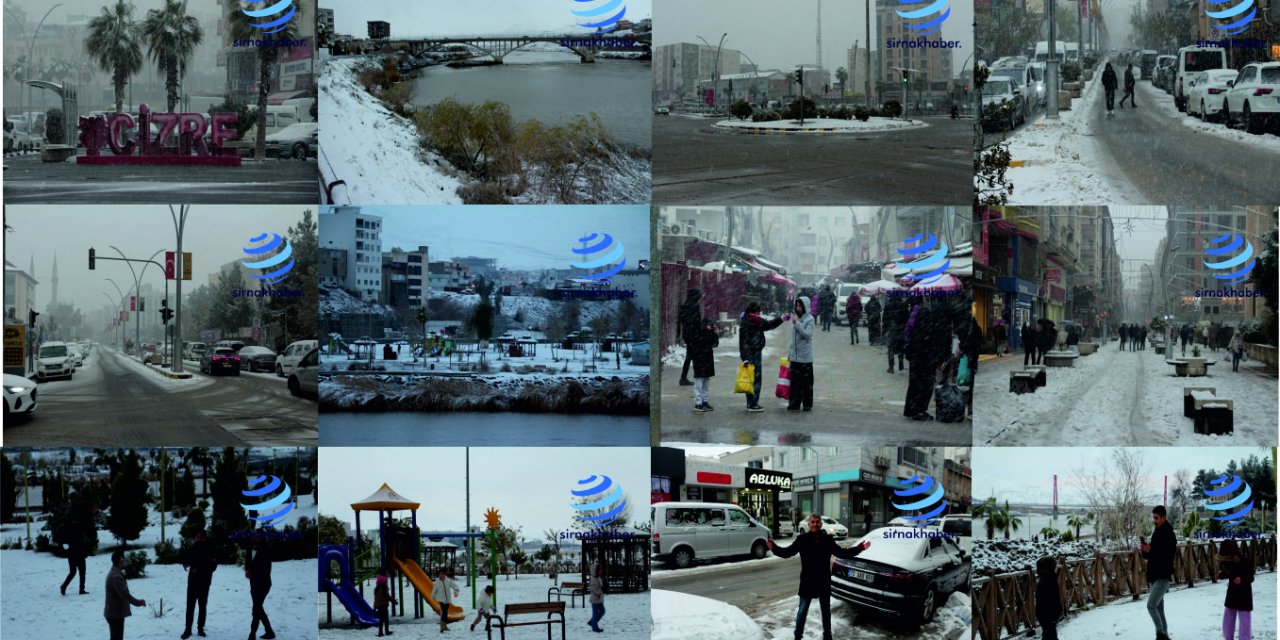 Cizre 2026’ya Kar yağışı ile Merhaba dedi