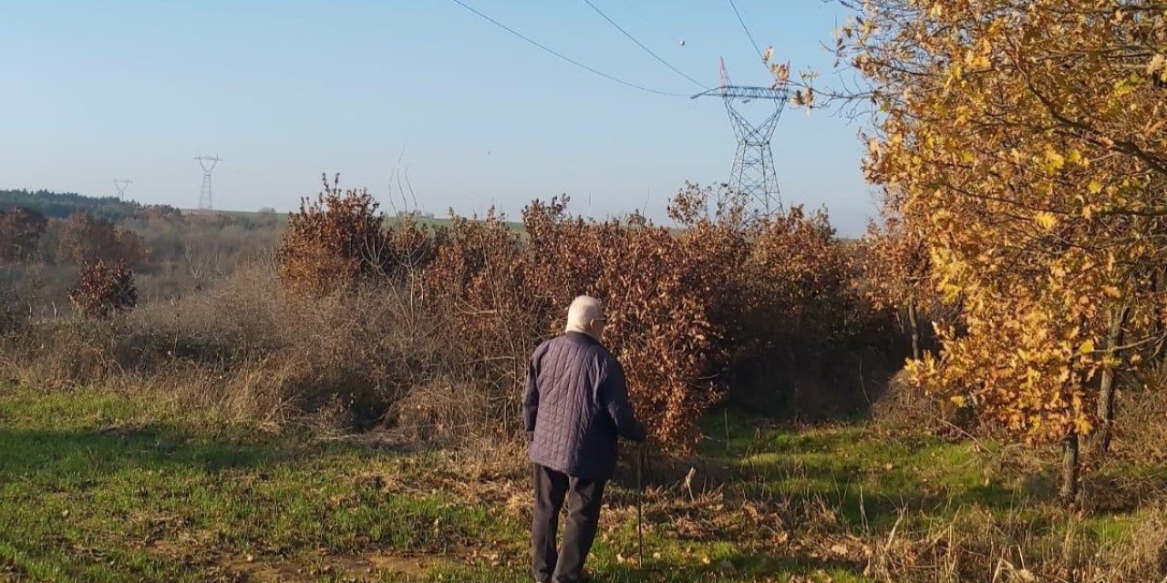 Yargıtay'dan kamulaştırma davasında emsal karar