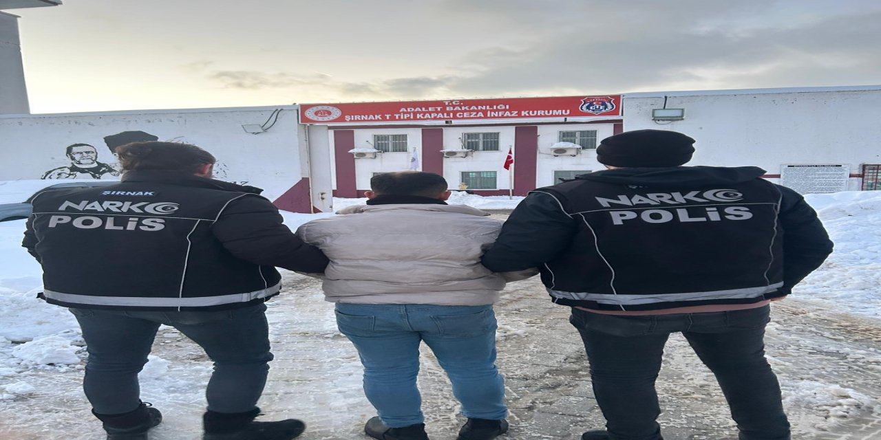 Şırnak’ta uyuşturucu ile mücadele kararlılıkla sürüyor