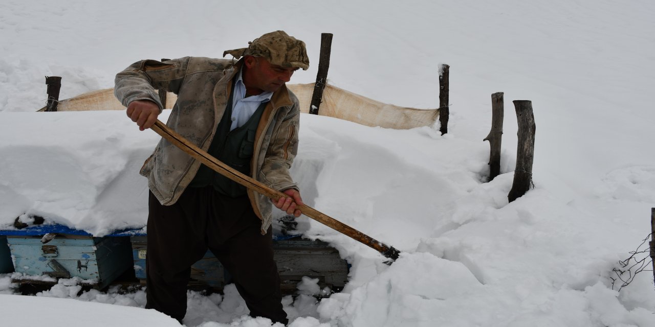 Şırnak'ta Çığ Altında Kalan Kovanları Köylüler Kurtardı!