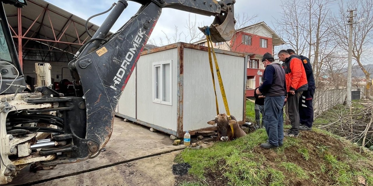 Kuyuya düşen inek için itfaiye seferber oldu