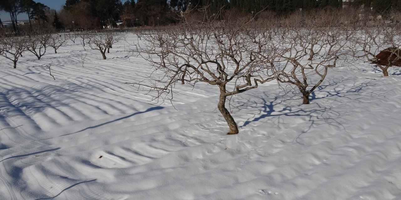 Uzun aradan sonra yağan Kar çiftçinin yüzünü güldürdü