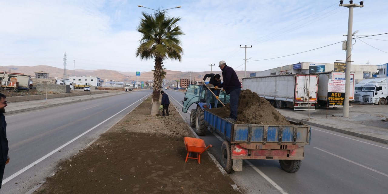 Cizre’de Tankerle Sulama Devri Kapandı: Orta Refüjlere Modern Dokunuş