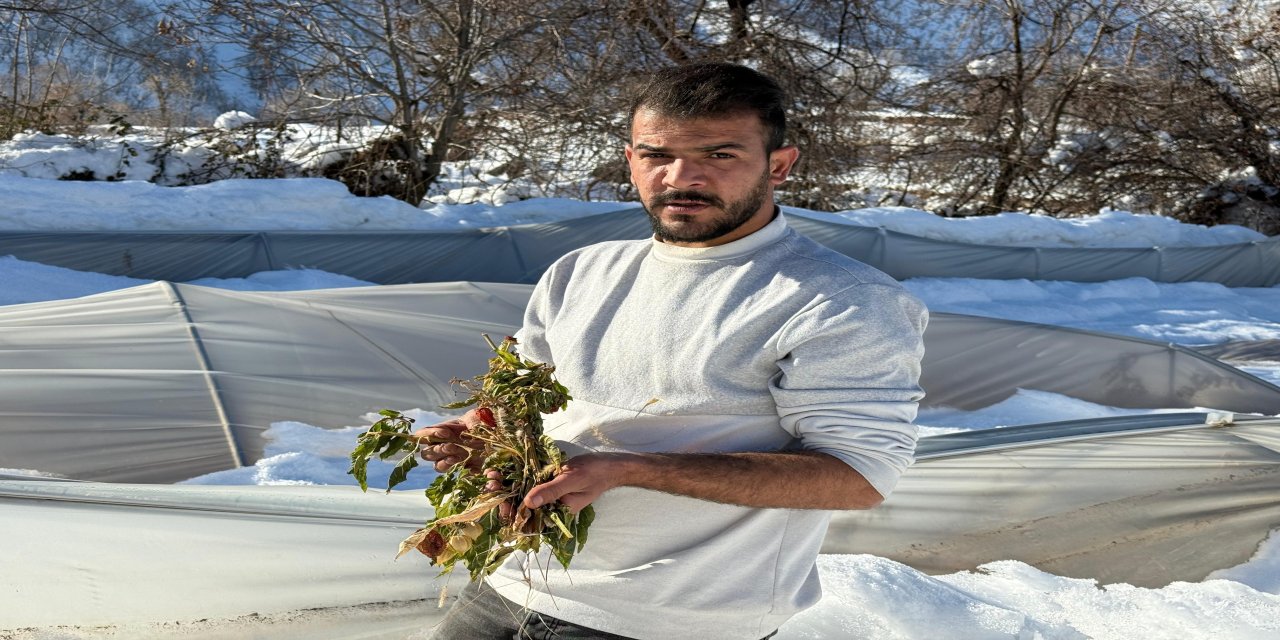 Derecik'te kardan dolayı 38 sera zarar gördü