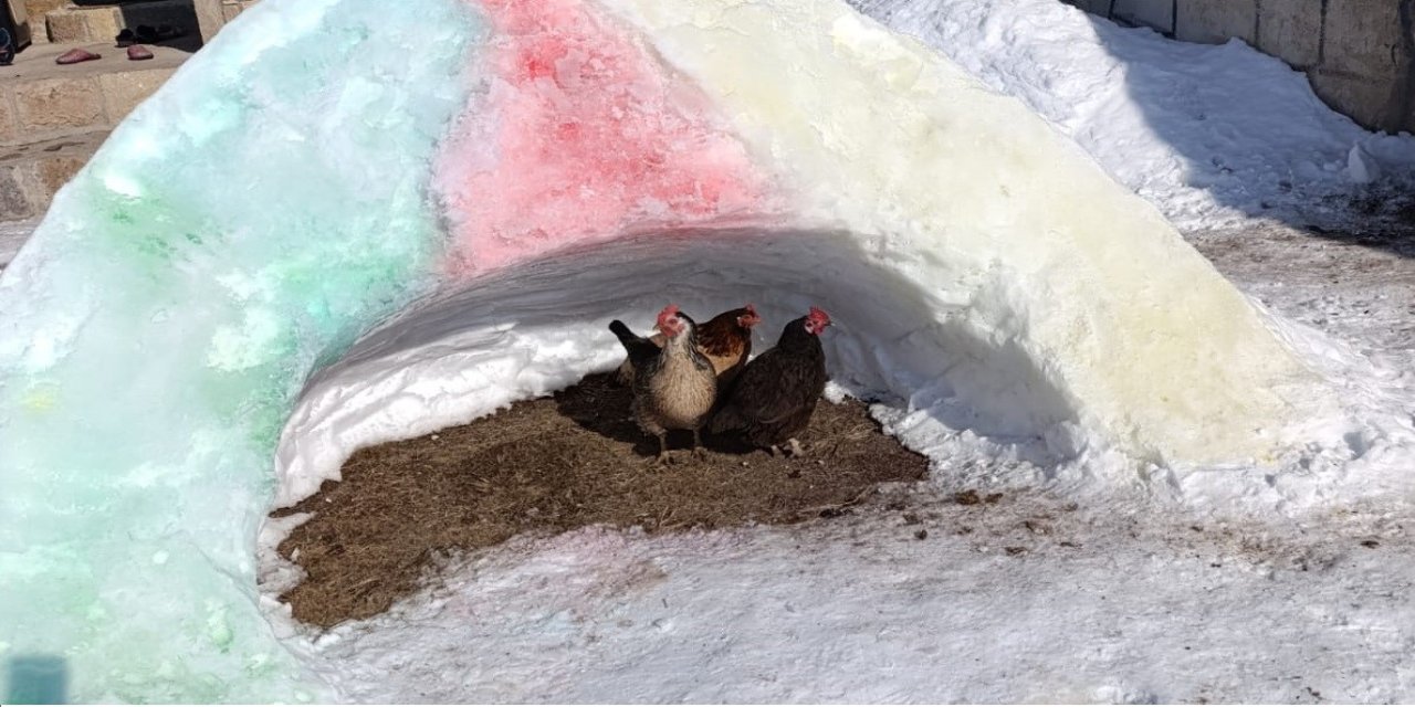 Dondurucu Soğukta Sokak Hayvanlarına Sığınak Oldular!