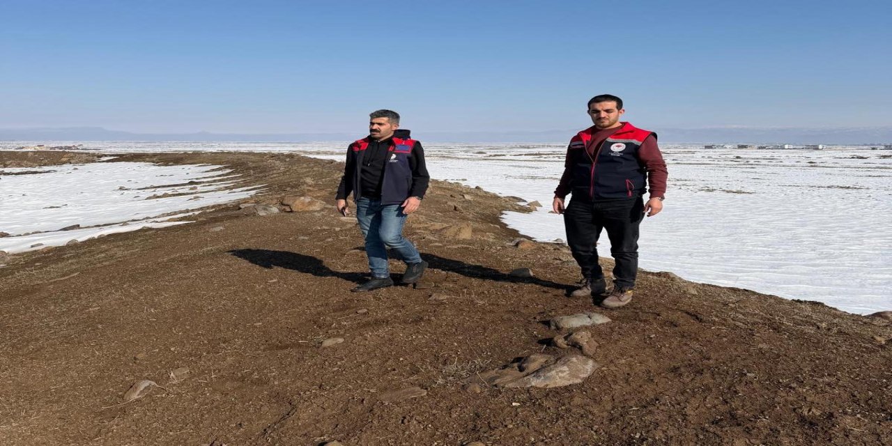 Şırnak’ta Hayvancılığa "Mera" Dopingi