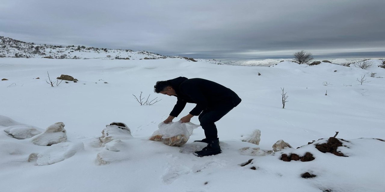 Gazeteciler Cemiyeti Başkanı Mir’den Doğaya Yem Takviyesi