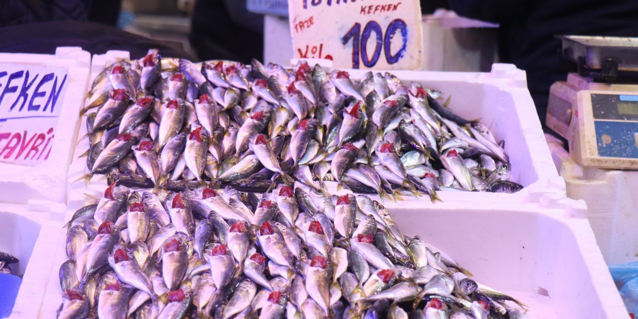 Balık Fiyatları dibi gördü, Tezgahlar istavritle doldu