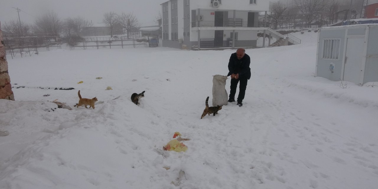 Nüfusu 2 Binden 4 Kişiye Düştü! Israrla Gitmiyor: Sebebi Yürekleri Isıttı