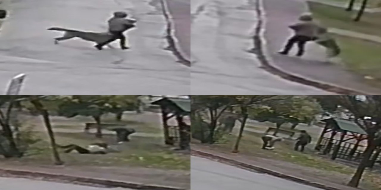 Adana'da Korku Dolu Dakikalar! Sokak Ortasında Vahşi Saldırı Kamerada