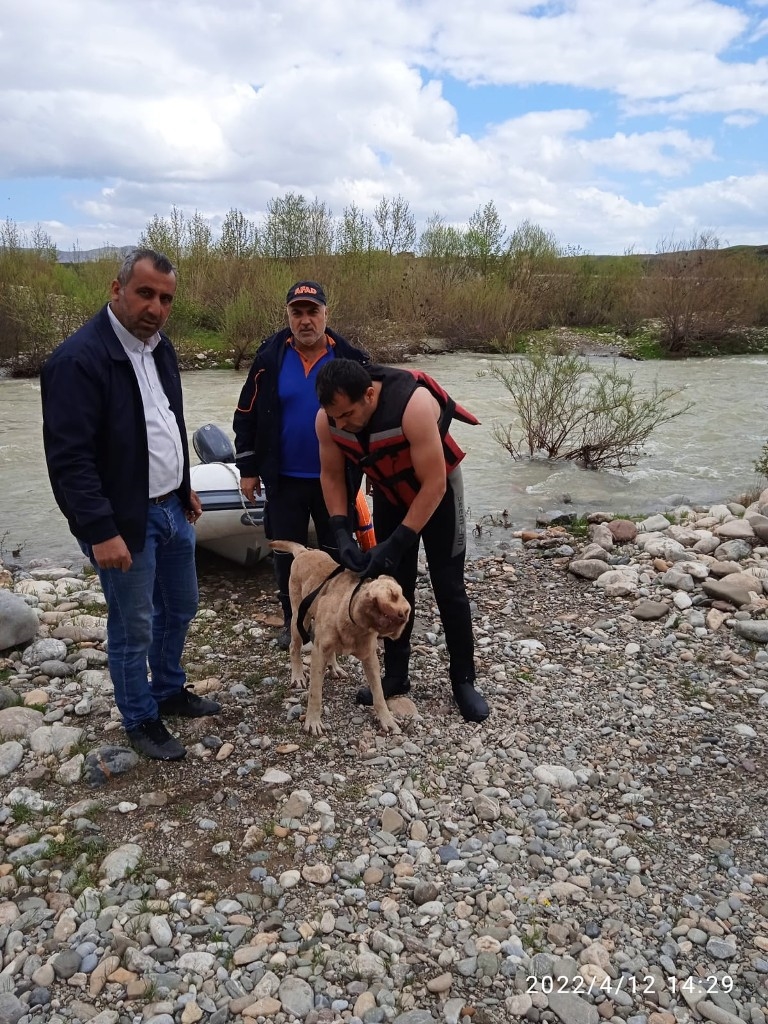 ÇAYDA 3 GÜN MAHSUR KALAN KÖPEK İTFAİYE EKİPLERİNCE KURTARILDI
