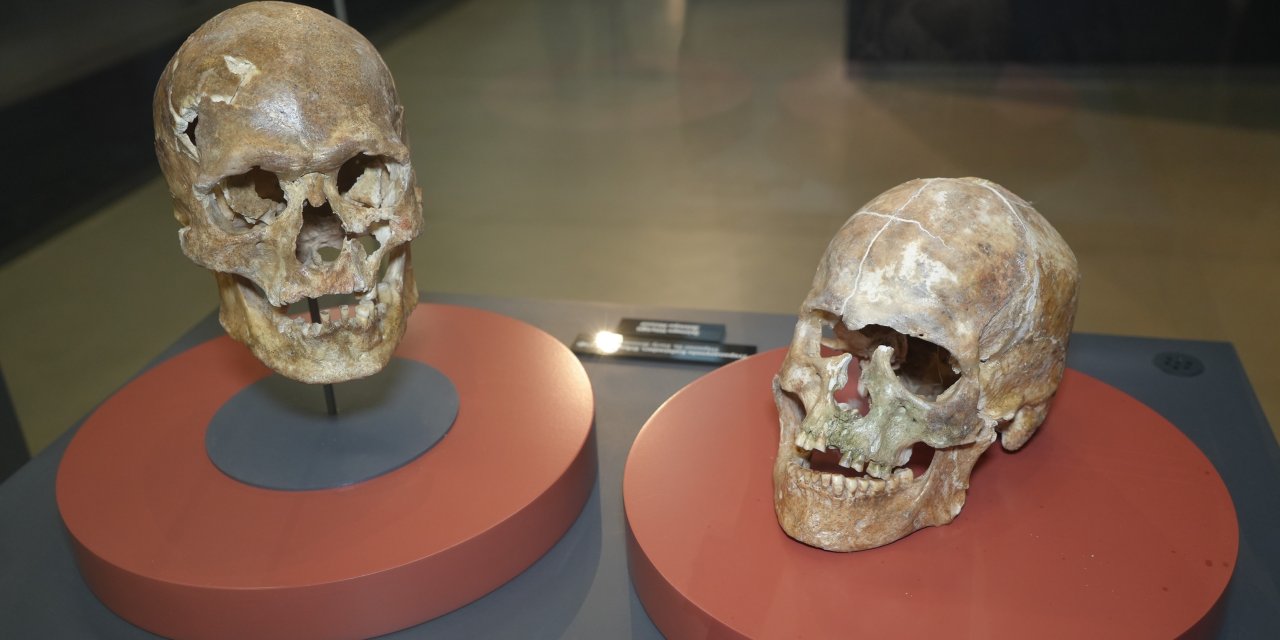 5 bin yıllık kafatası ve Amisos Hazineleri ilgi odağı oldu