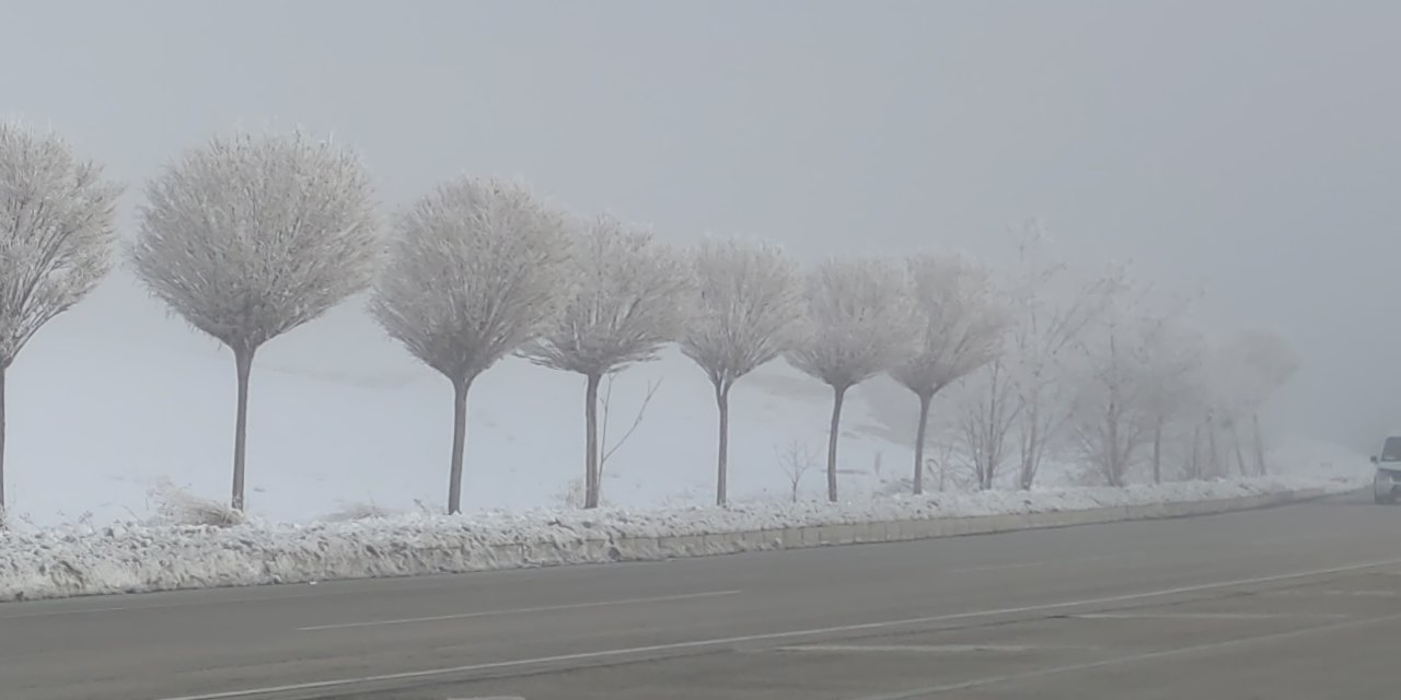 Sibirya soğukları Van'da hayatı felç etti
