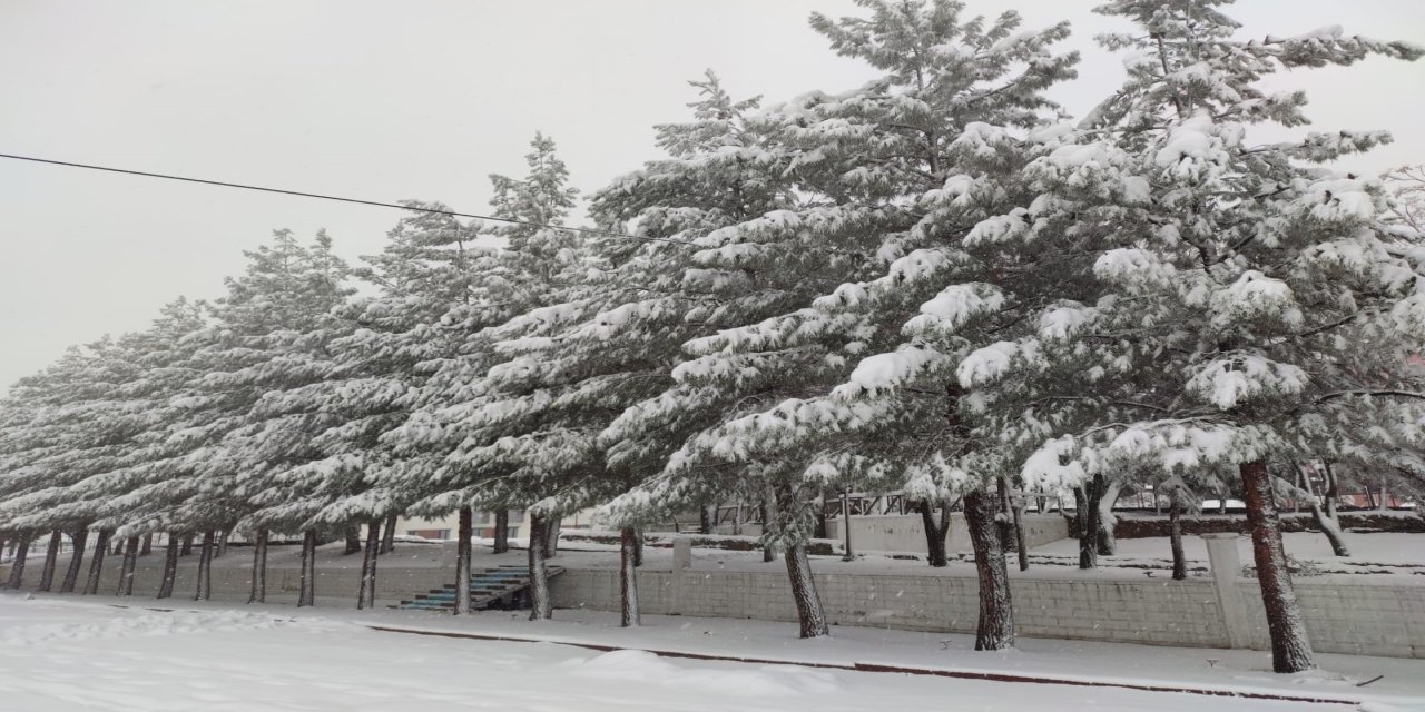 Sason’da Hayat Durdu! Tüm Yollar Kapandı, Kar Temizleme Seferberliği Başladı