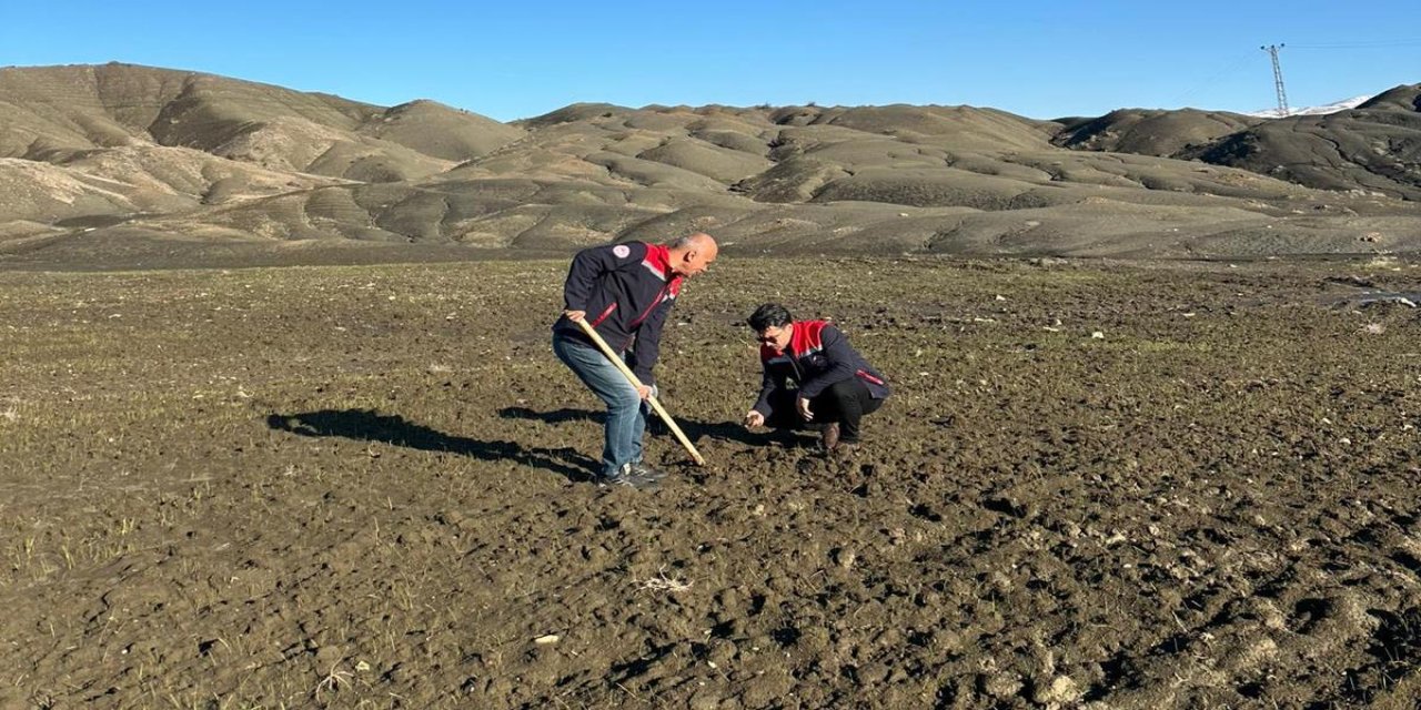 Hem Tarım Hem Enerji! O Beldede Kurulacak Dev Tesis İçin "Toprak Koruma" Seferberliği