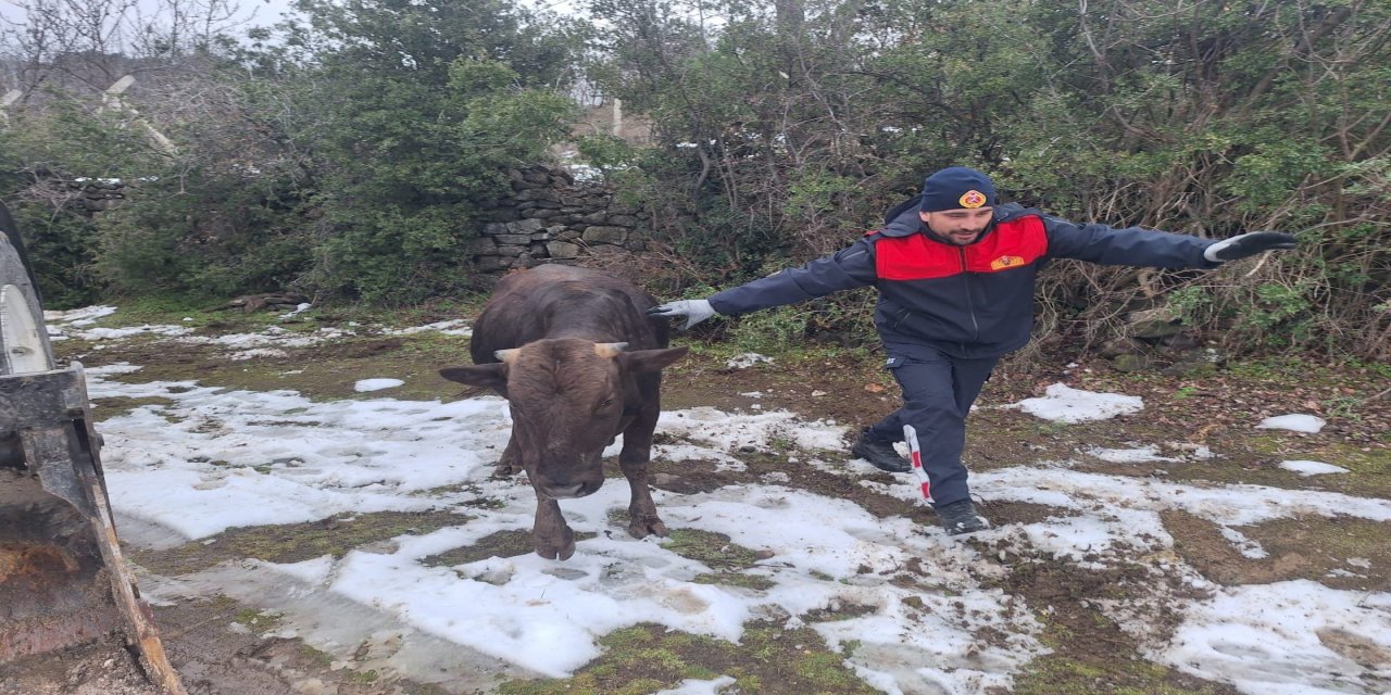 Su Kuyusunda Mahsur Kaldı! İş Makinesi Ve İtfaiye Ele Ele Verdi: Başarıyla Kurtarıldı