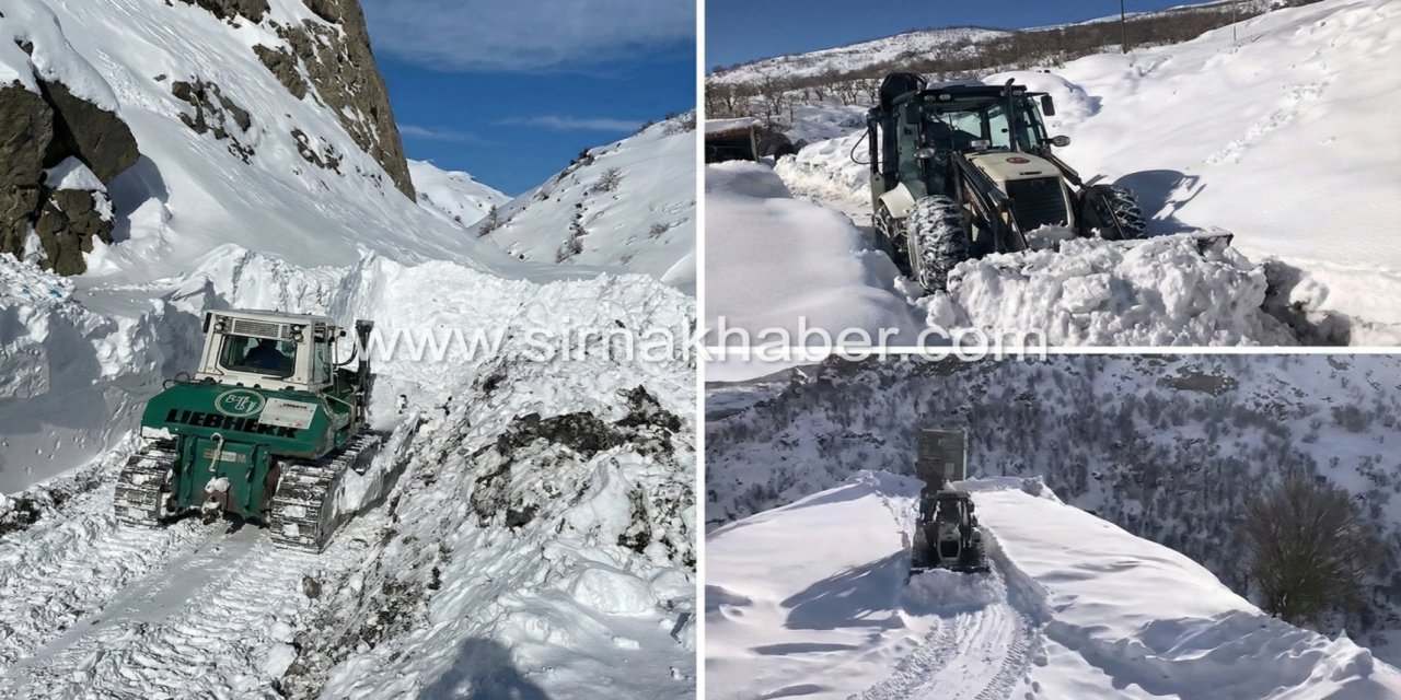 Beytüşşebap’ta Yoğun Kar Yağışı Sonrası Ulaşım İçin Çalışmalar Sürüyor