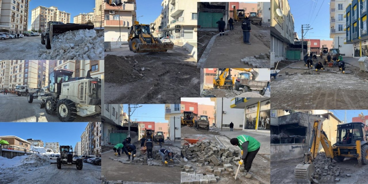 Bir Yanda Kar Küreme, Bir Yanda Parke