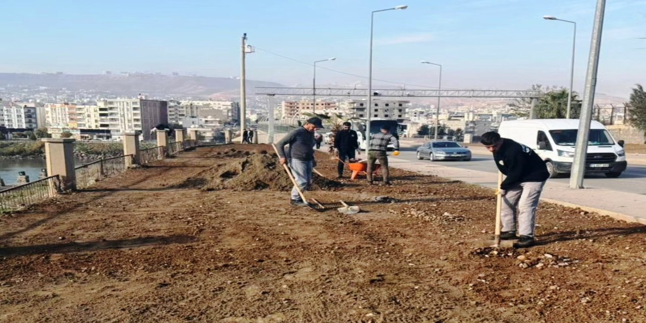 Cizre Belediyesi’nden Yeşil Alanlara Kapsamlı Bakım